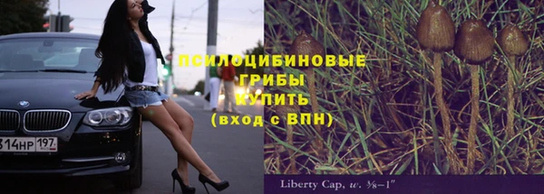 apvp Аркадак